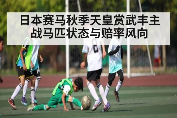 日本赛马秋季天皇赏武丰主战马匹状态与赔率风向